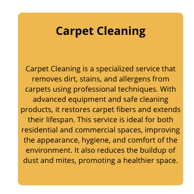 Carpet cleaning description
