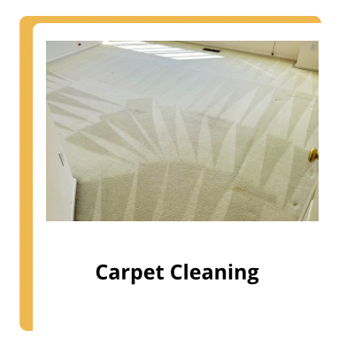 Carpet Cleaning Service